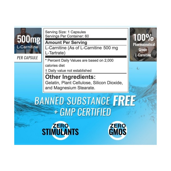 RSP L-Carnitine | L Carnitine Liquid | ProBuilder
