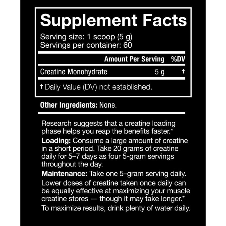 JNX The Curse Creatine - Next-Gen Muscle Fuel | ProBuilder NZ