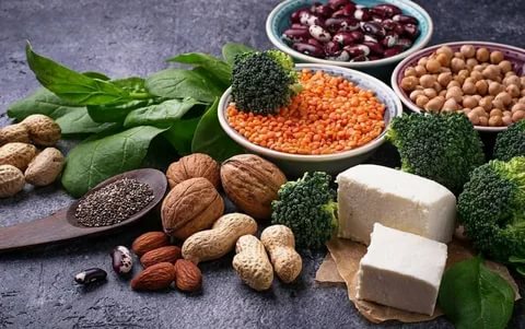 Plant Proteins and its Benefits