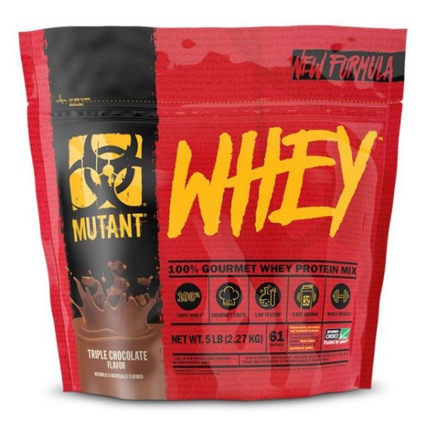 Protein Supplements