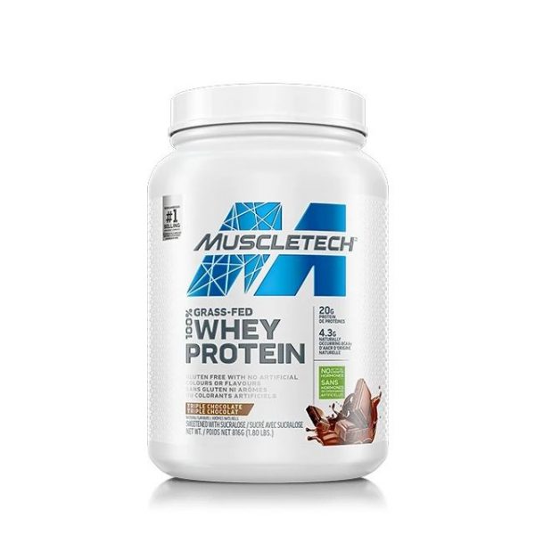 Protein Supplements