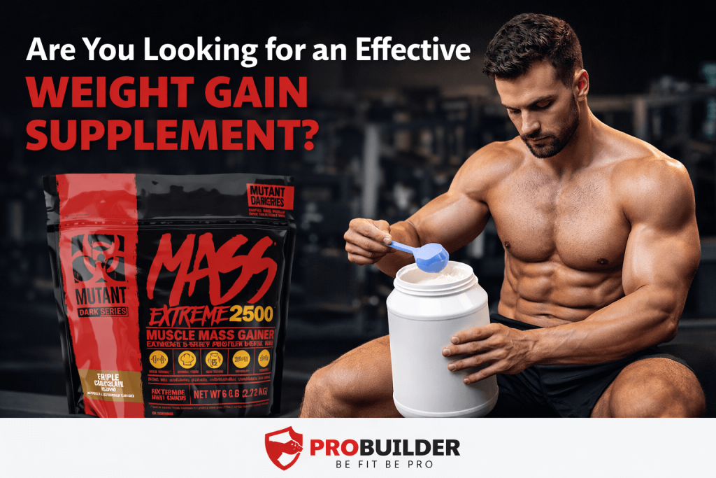 Are You Looking for an Effective Weight Gain Supplement?