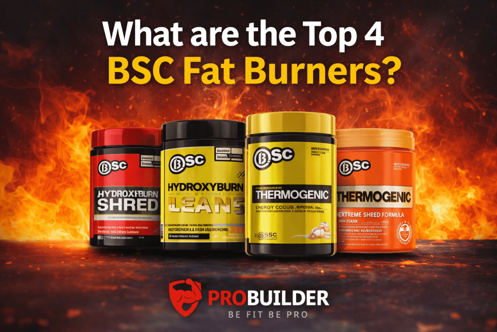 What are the Top 4 BSC Fat Burners?