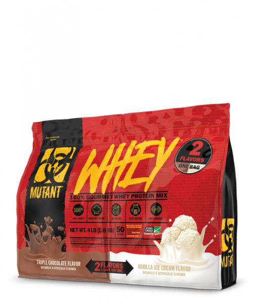 Protein Supplements