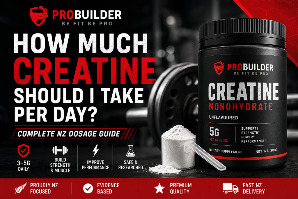 How much creatine should i take per day